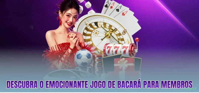 982bet Plataforma